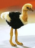 Plush Ostrich 14