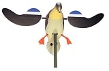 Mojo Outdoors Baby Mojo Hen
