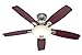 Hunter 25120 Eco-Air 52-Inch Single Light 5-Blade Ceiling Fan, Brushed Nickel with 5 Cherry/Black Blades and Frosted Glass Light Bowl