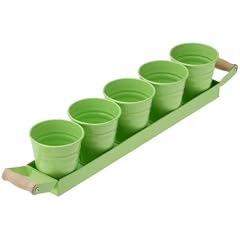 Sia 283661 �bertopf Tablett Flash, 5er-Set, gr�n