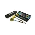 Luxury Darts Set - 20 Gram Weight