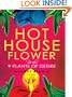 Hothouse Orchid (Thorndike Basic)