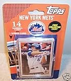Topps MLB Baseball Cards 2009 New York Mets 14 Card Team Set