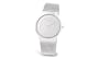 SKAGEN 20TH ANNIVERSARY LIMITED EDITION PLATINUM PLATED MEN'S WATCH 233XXXLSSA