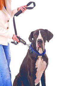 Karlie dog E-Walk Dogtrainer #12080