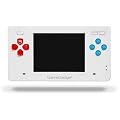 GameGadget Handheld System