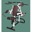 Deltoid and Shoulder Machine
