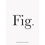 Adam Broomberg & Oliver Chanarin: Fig.
