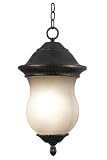 Repartee Hanging Lantern, 20 � H, GOLDEN BRONZE - B001FDFSW6