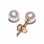 14k Yellow Gold 5-5.5mm Freshwater Cultured Pearl Stud Earrings