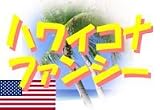 �����y���@�n���C�R�i�G�N�X�g���t�@���V�[�@500g ���u���[�X�g�v�u�O���C���h�v��I������肨�I�щ�����