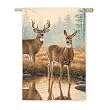 Morning Reflections Fall Garden Flag