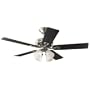 Hunter HR21545 52-Inch Antique Pewter Ceiling Fan with Light
