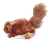 Kong Dr Noys Squirrel Medium
