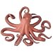 Large Pacific Octopus