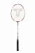Sports : Badmintonschl&auml;ger ISOPOWER F4