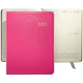 2013 Brights PINK fine Leather 9'' Desk Diary by Graphic Image - 7x9