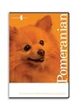 31cjjPszFCL. SL160  Pomeranian Dog Grooming Instructional How To DVD Video and Equipment Guide