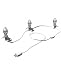 Clear 3-Bulb C7 Replacement Lights with White Wire Cord