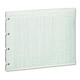 Wilson Jones G10-24 Green Columnar Sheets, Double Page Format, 24 Cols, 9-1/4X11-7/8, 100/Pk