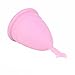 Healthful Reusable Menstrual Cup Lady Menstruation Size Small Cup Purple