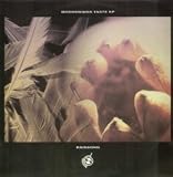 RAINSONG 12 INCH (12" SINGLE) UK ARISTA 1992