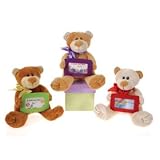 New-6.5" 3 Assorted Patched Bear With Gift Card Case Pack 36 - 342614