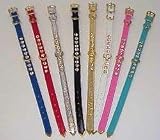 Sporting Goods : Collar Craft Vinyl Col 3/8 W Dee 12 Pink
