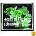 Kingston CF/4GB-S2 4GB Elite Pro CompactFlash Card 133x