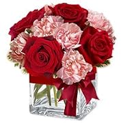 Floral Carnation - Jaime