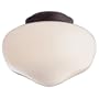 9" Schoolhouse Ceiling Fan Light Kit in Old Chicago