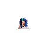 DELUXE PRO FOOTBALL TEAM SPORTS FAN BLUE and GREEN WIG