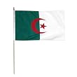 Algeria Flag 12 x 18 inch
