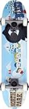 Blind Northpark Mini Complete Skateboard - 7.0