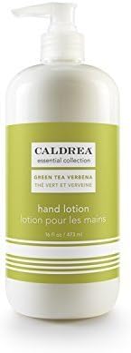 Hand Lotion by Caldrea Essential Collection (16 fl oz) Earth Friendly Plant-based Formula with Natural Essential Oils - Green Tea - 16 fl oz / 473 ml