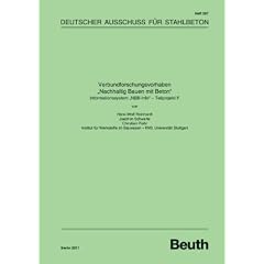 Informationssystem "NBB-Info" - Teilprojekt F: DAfStb-Heft 587
