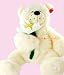 24 inch Ivory Super Plush Bear with a Daisy