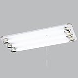 ラッキー ホームライト 引掛けシーリング式 4.5~6畳 付属蛍光灯(FL20SS・EX-D/18×3灯) 昼光色 プルスイッチ LHKE-16013