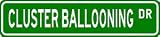 CLUSTER BALLOONING Street Sign - Sport Sign - High Quality Aluminum Street Sign