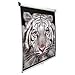 Elite Screens Manual Pull Down Projection Screen, 16:9 Aspect Ratio-150in (Matte White)