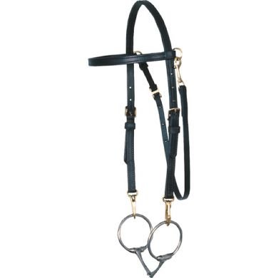 Arabian Training Bridle