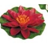 Eigenschaften Gardena 7992-20 / Gardena 7992-20 Aquamotion Seerose rot, aus Kunststoff