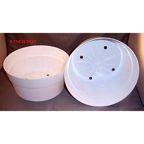 White Plastic Flower Pot - 8w