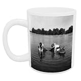Boys fishing for minnows in Kensington Gardens, London. June 1952 - Mug