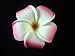 NEW Pink Plumeria Flower Hair Clip, Limited.