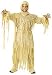Mummy King Adult Costume Image