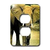 Wild animals - African Elephant - Light Switch Covers - 2 plug outlet cover