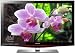 Samsung LN40B630 40-Inch 1080p 120 Hz LCD HDTV with Red Touch of Color