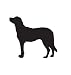 Herding Dog Pet Anatolian Shepherd Car Truck Vehicle Bumper Helmet Decal Sticker Wall Art Laptop Design Skin Stickers