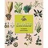 Plants: Why We Can't Live Without Them